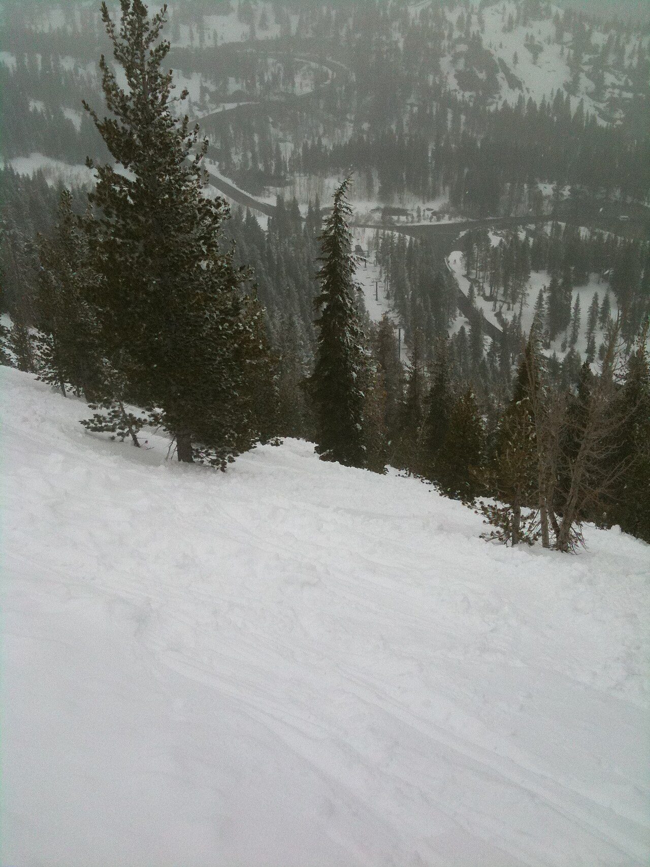 Skiers on the Miller run at Mt. Rose Ski Tahoe